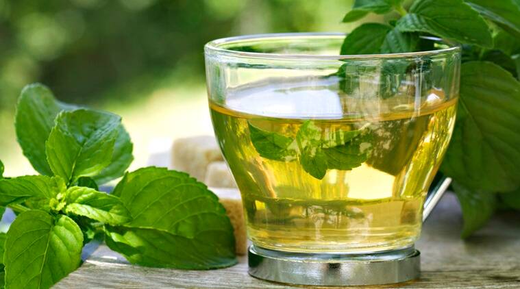10 avantages pour la santé de boire du thé vert le matin